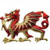 Welsh Dragon Brooch with Red Enamel & Gold Highlights
