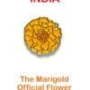 Marigold National Flower of India for Remembrance. 15mm Lapel Pin, LWF_41